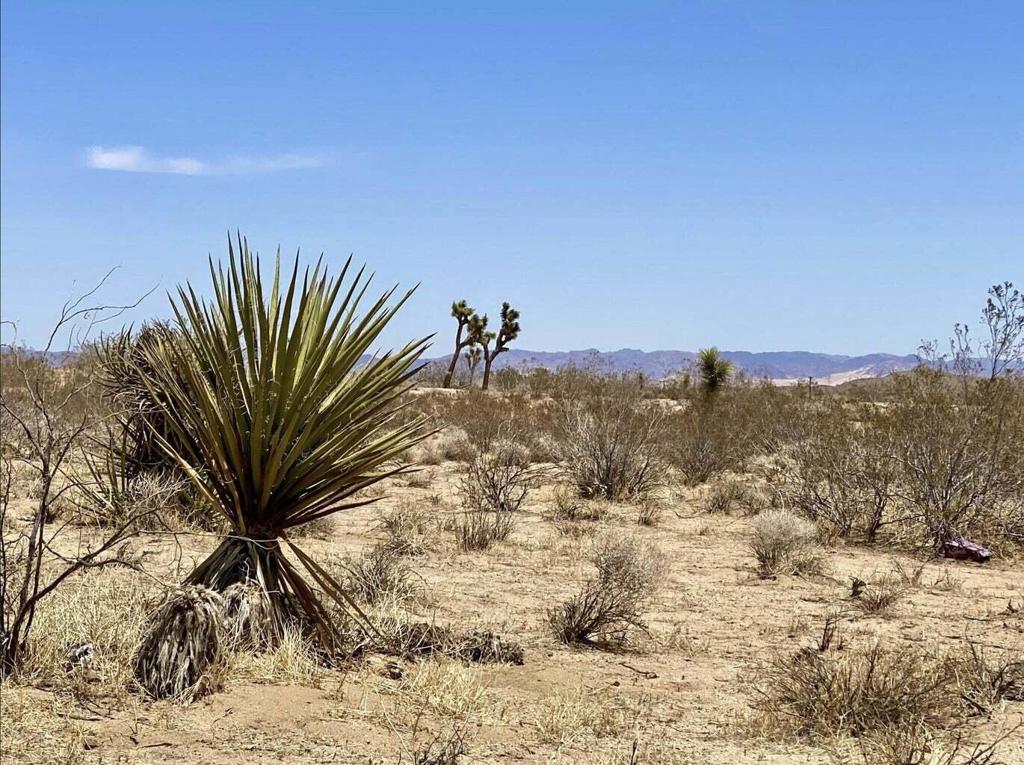 MLS #219122273PS image #24