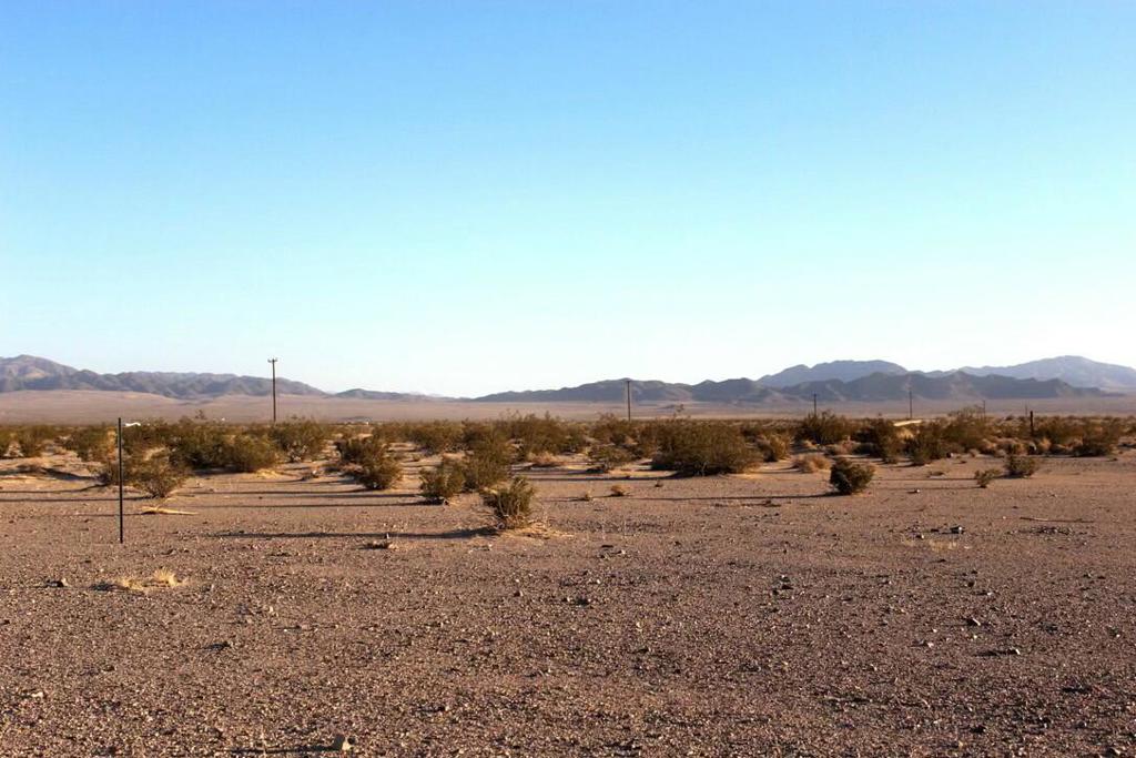 MLS #219122435PS image #13