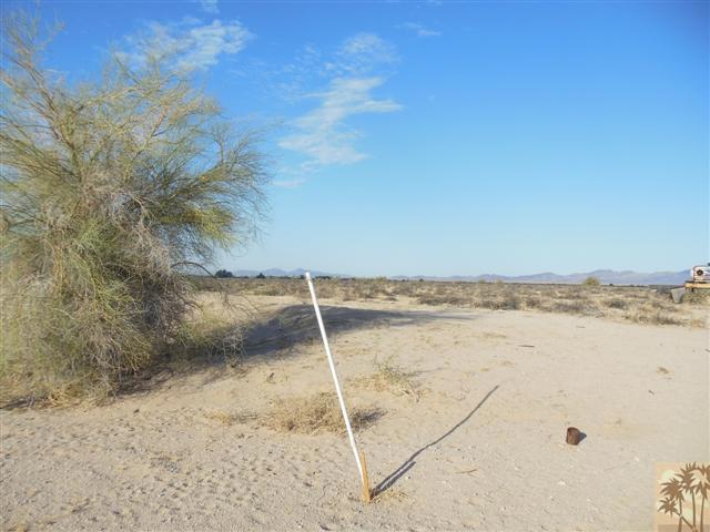 MLS #219122849DA image #6