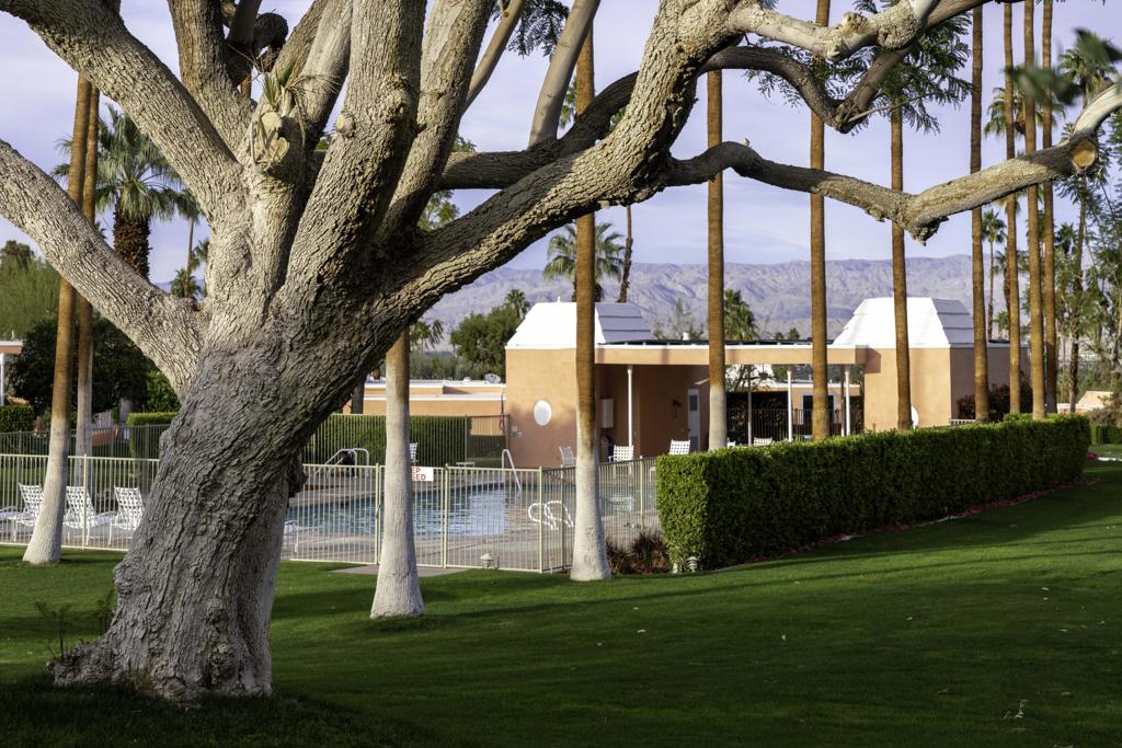 MLS #219123215DA image #54