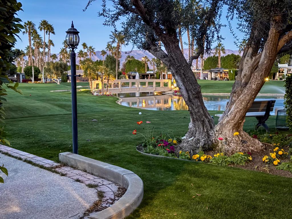 MLS #219123241DA image #10