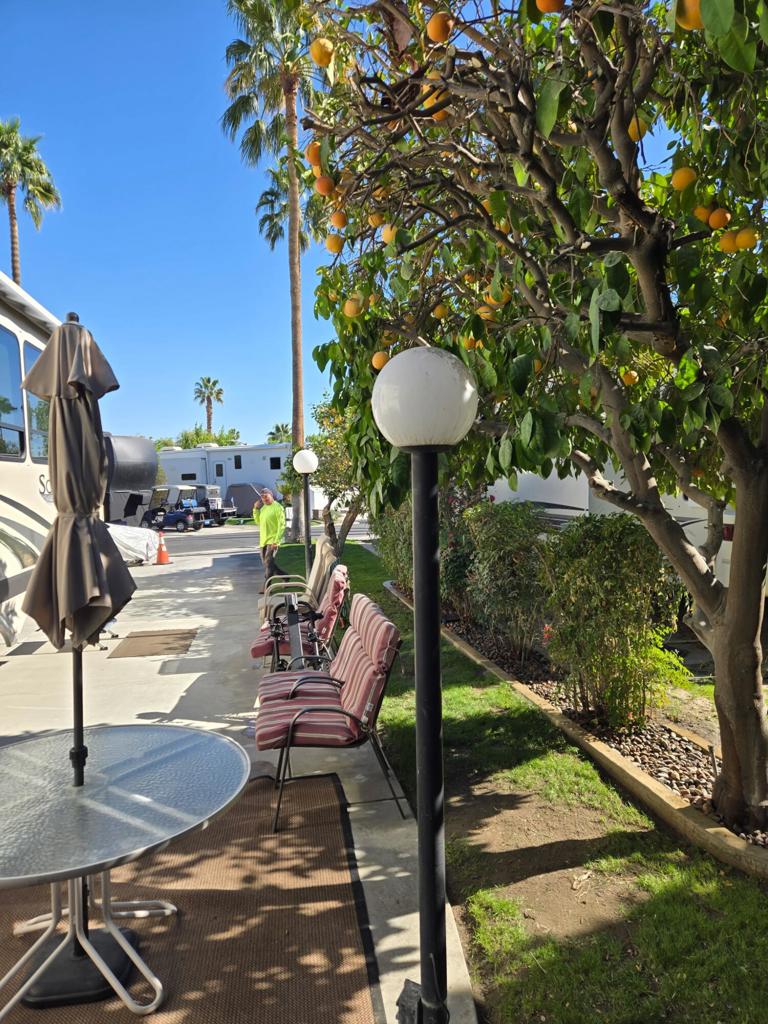 MLS #219123421DA image #1