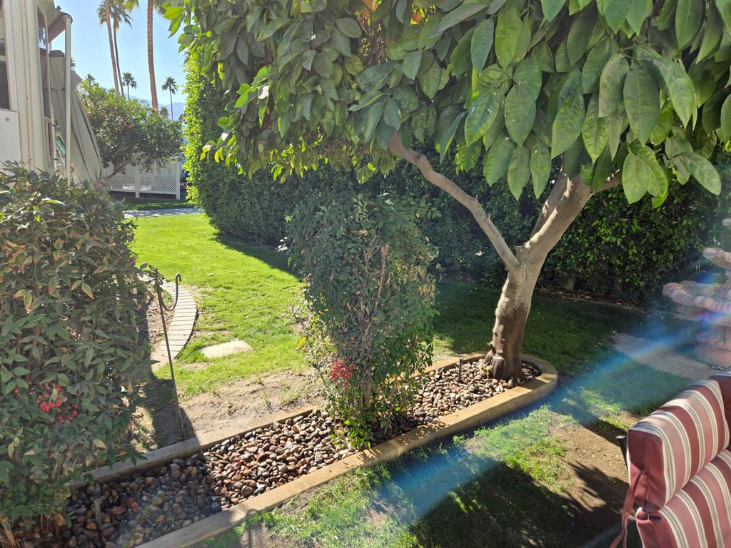 MLS #219123421DA image #2