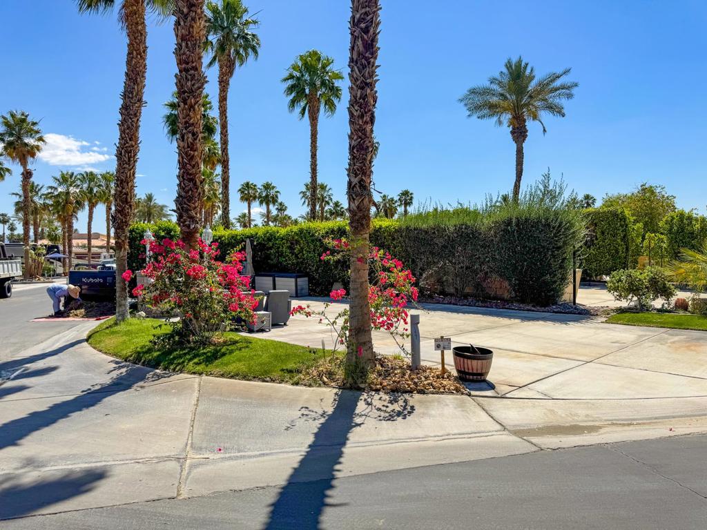 MLS #219123459DA image #5