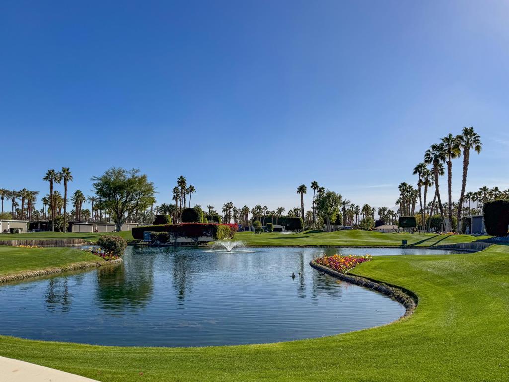 MLS #219123674DA image #9