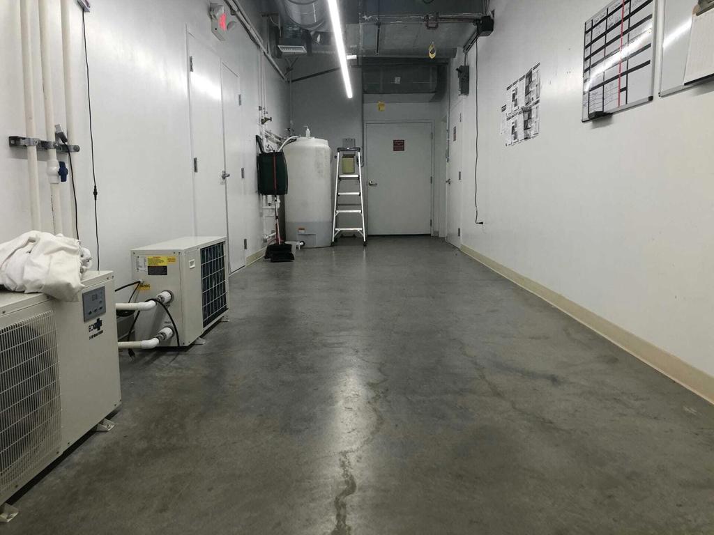 MLS #219123717DA image #5