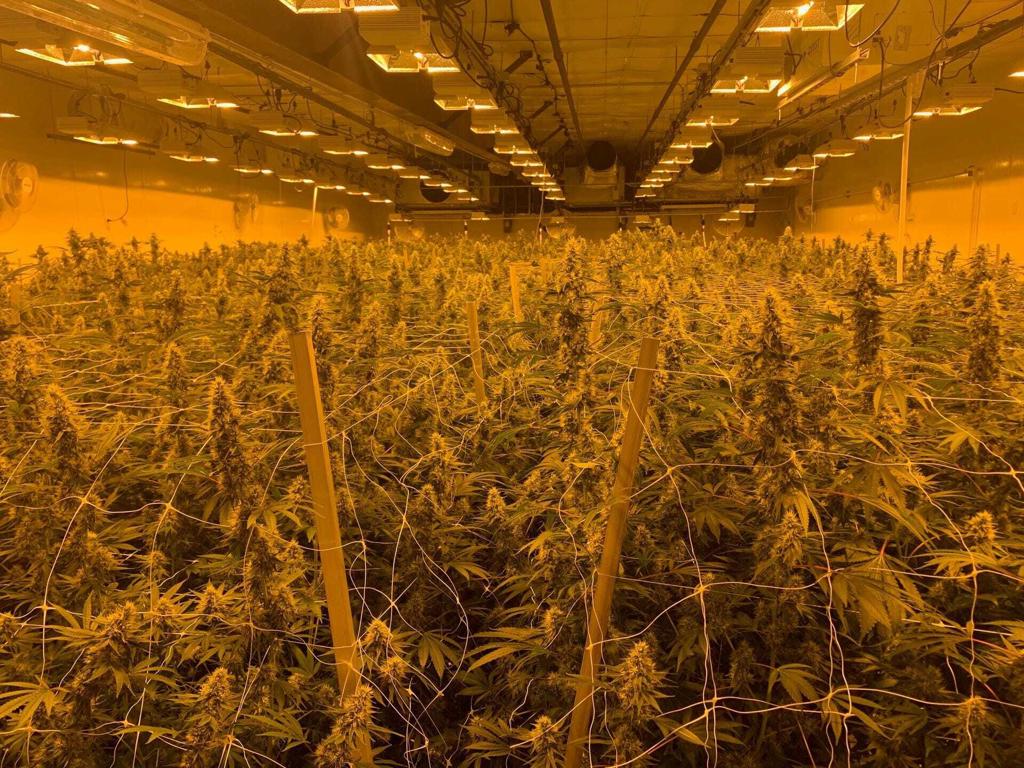 MLS #219123717DA image #6