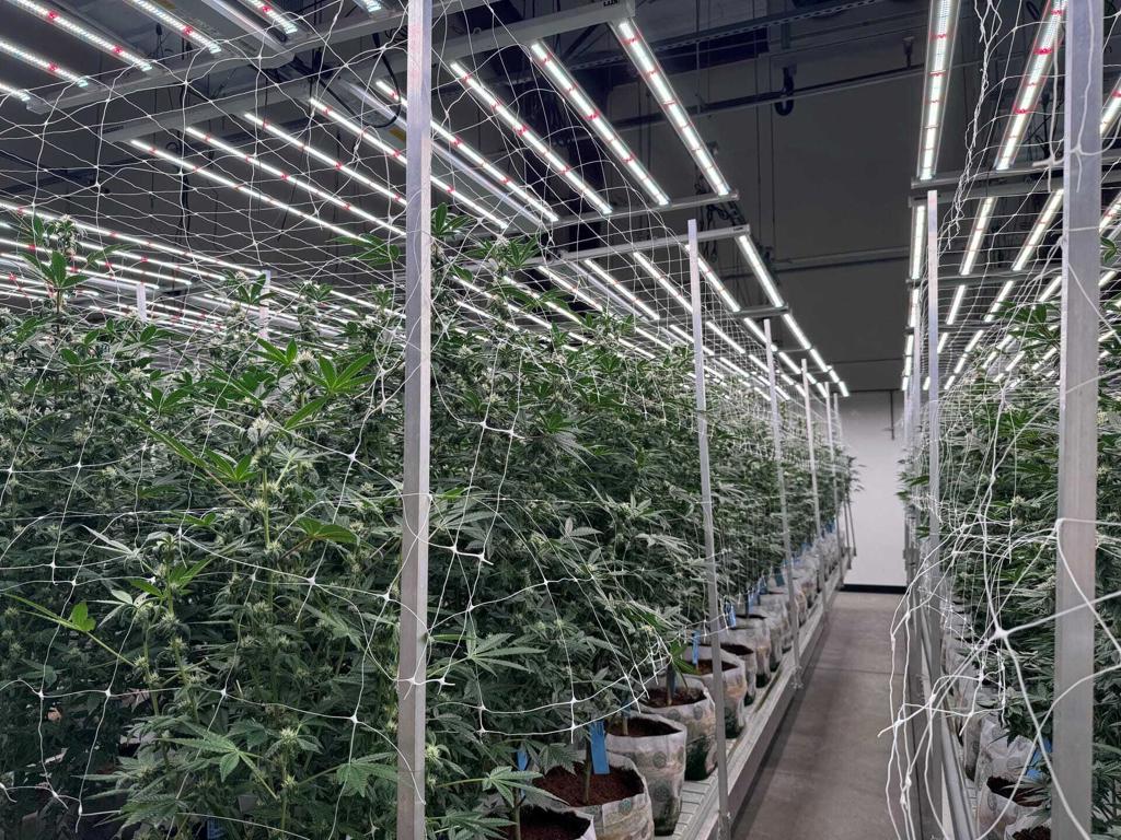 MLS #219123717DA image #7