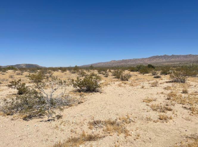 MLS #219124119PS image #10