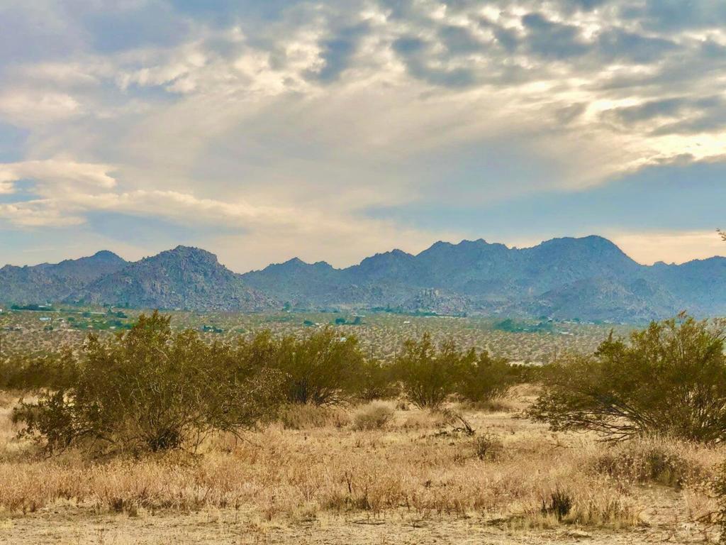 MLS #219124119PS image #11