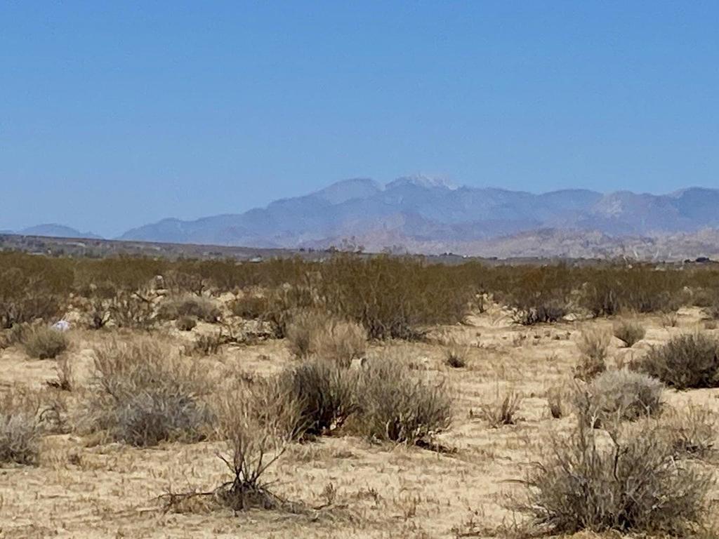 MLS #219124119PS image #12