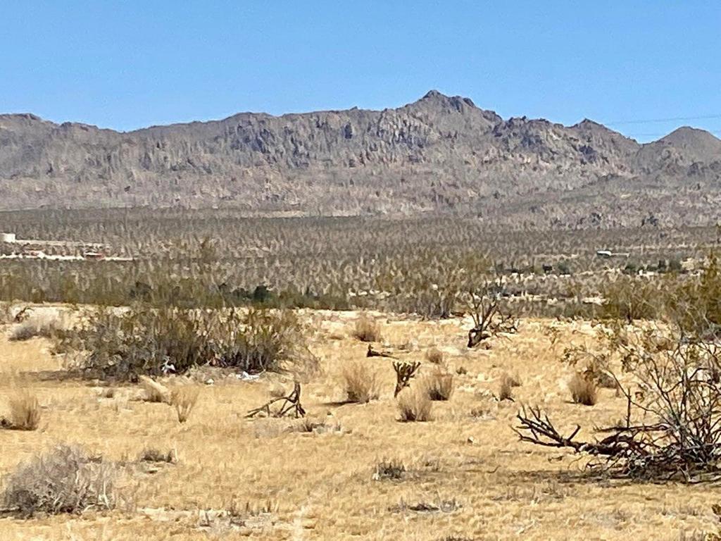 MLS #219124119PS image #13