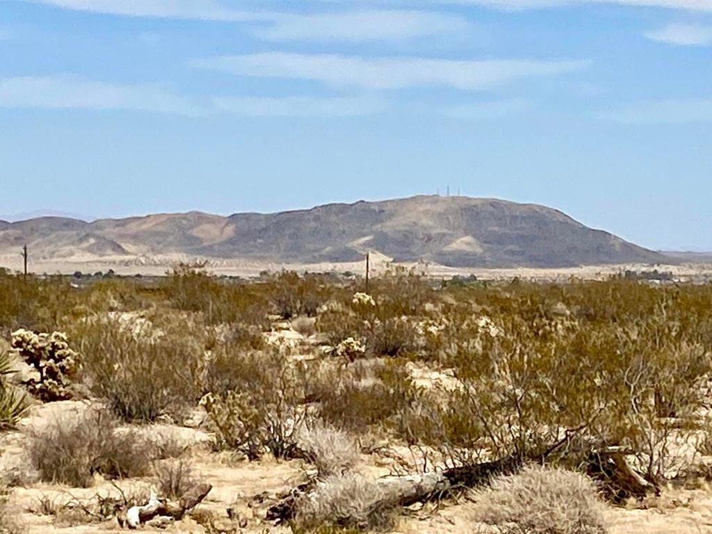 MLS #219124119PS image #3