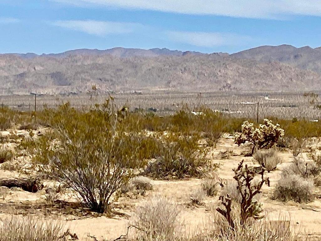 MLS #219124119PS image #5