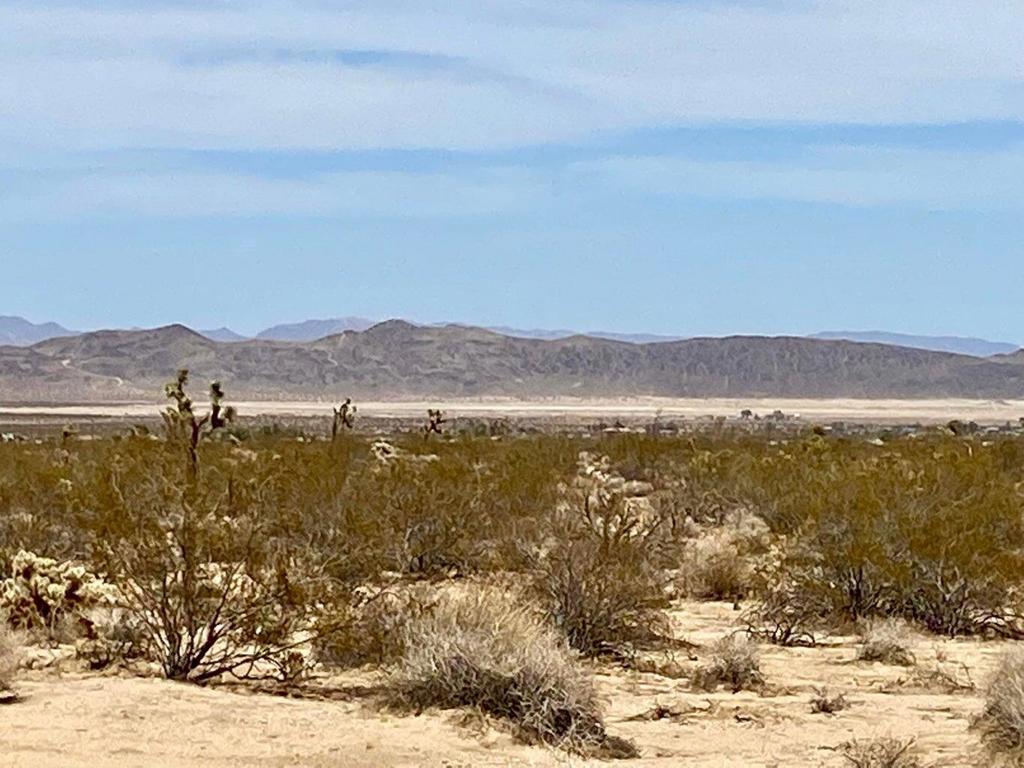 MLS #219124119PS image #6