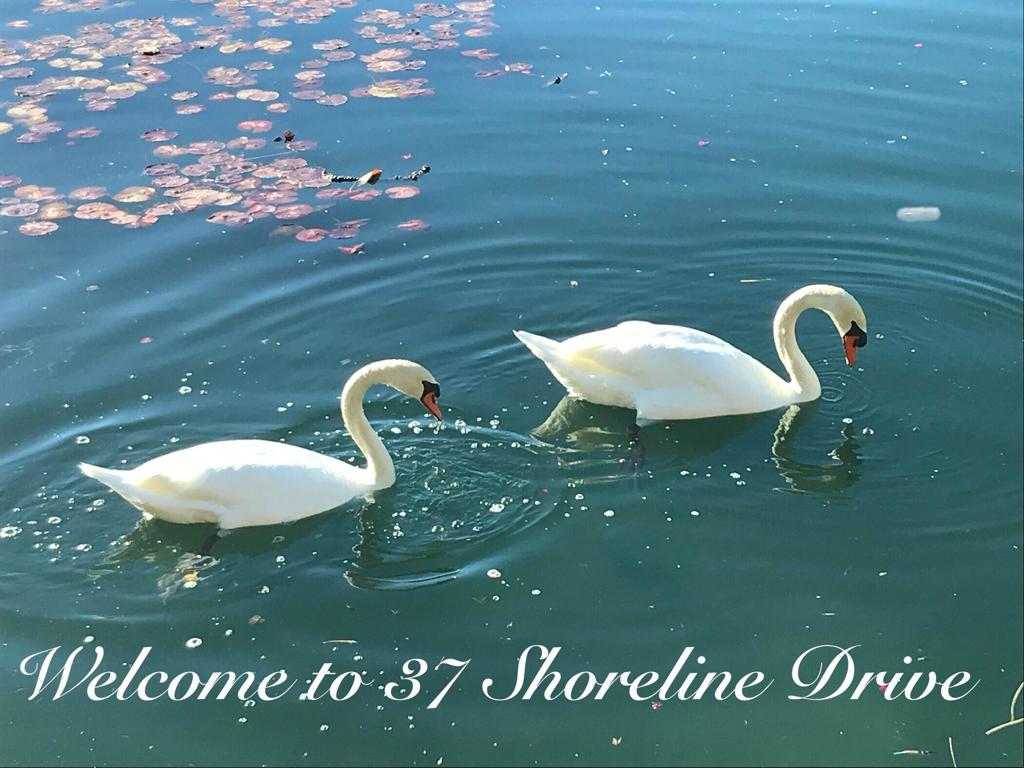 MLS #219124557DA image #5