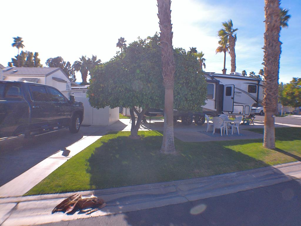 MLS #219124917DA image #9