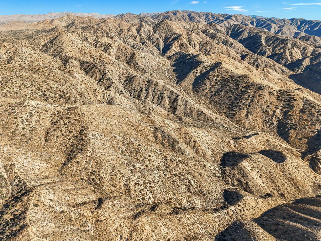 MLS #219125299DA image #10