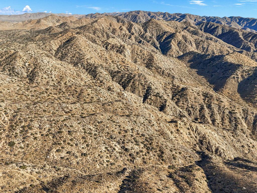 MLS #219125299DA image #11