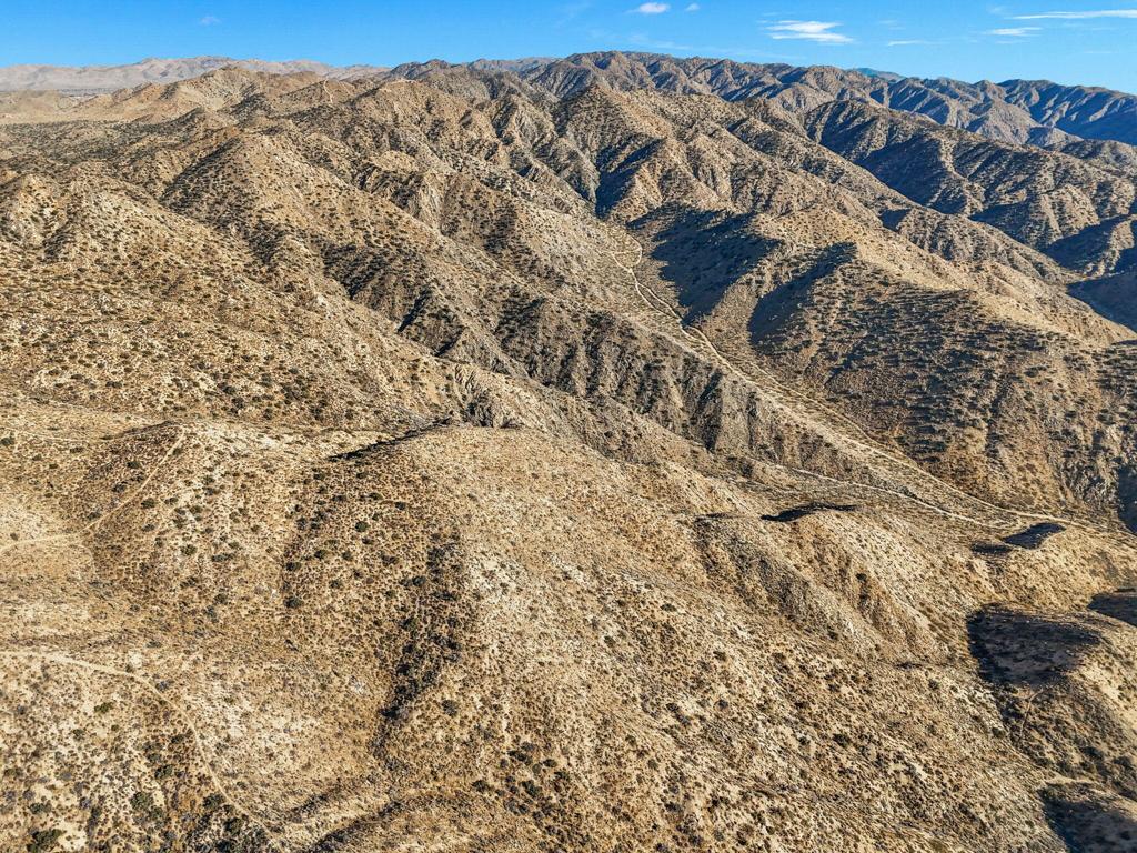 MLS #219125299DA image #14