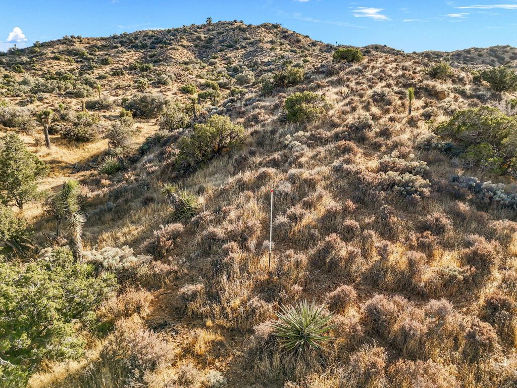 MLS #219125299DA image #17