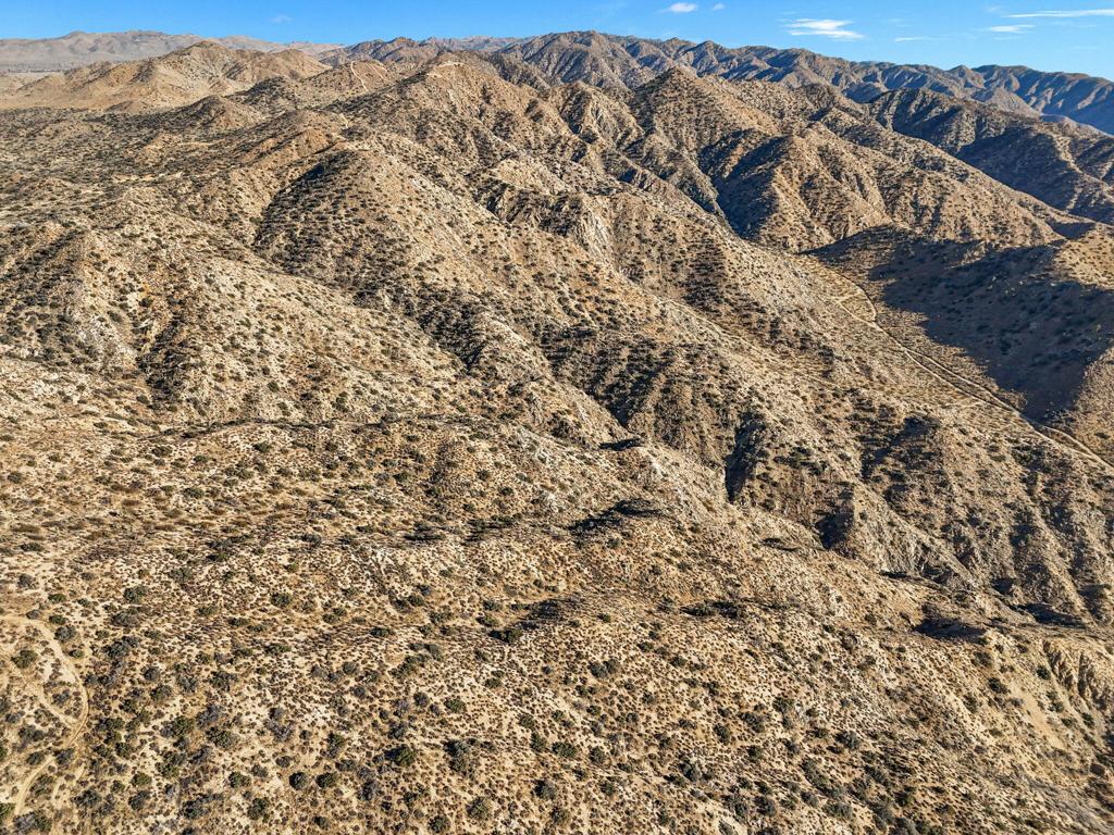 MLS #219125299DA image #21