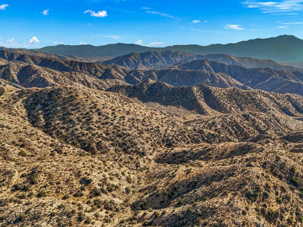 MLS #219125299DA image #4