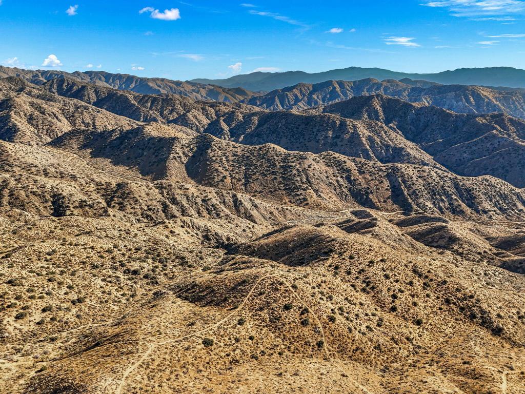 MLS #219125299DA image #5