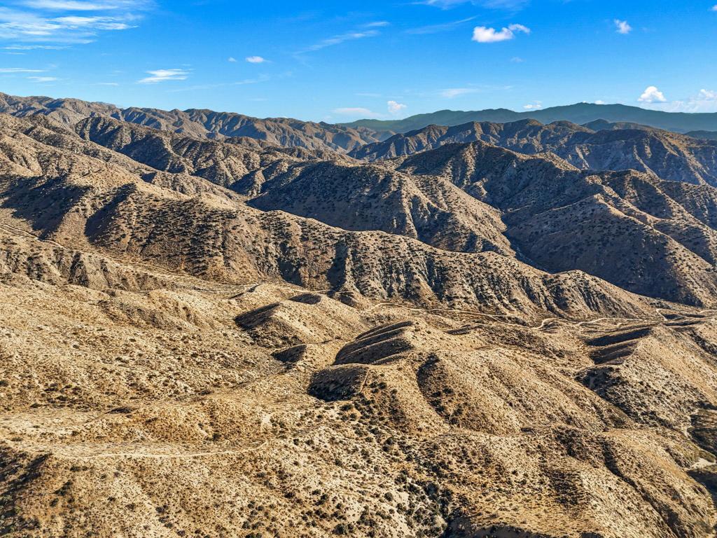 MLS #219125299DA image #6