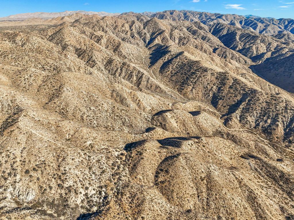 MLS #219125299DA image #7