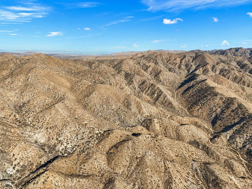 MLS #219125299DA image #8