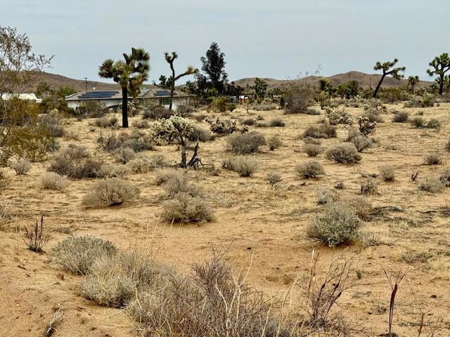 MLS #219125406DA image #1