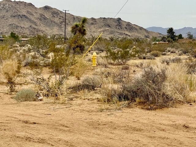 MLS #219125406DA image #13