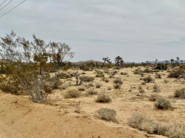 MLS #219125406DA image #2