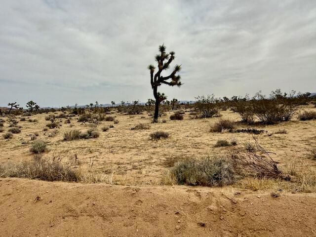 MLS #219125406DA image #3