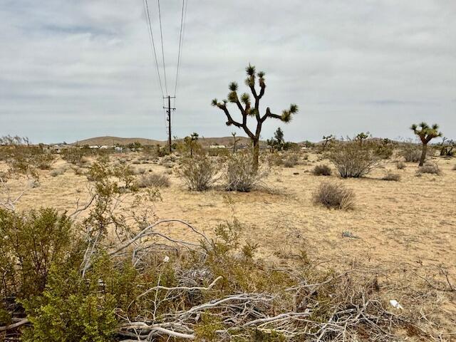 MLS #219125406DA image #4