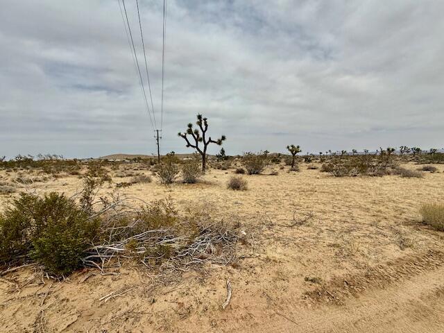 MLS #219125406DA image #5