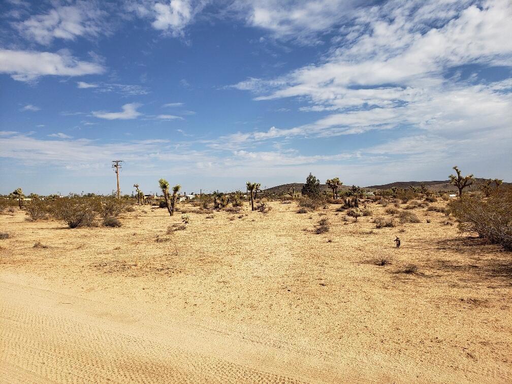 MLS #219125406DA image #7