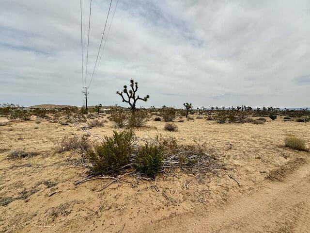 MLS #219125406DA image #8