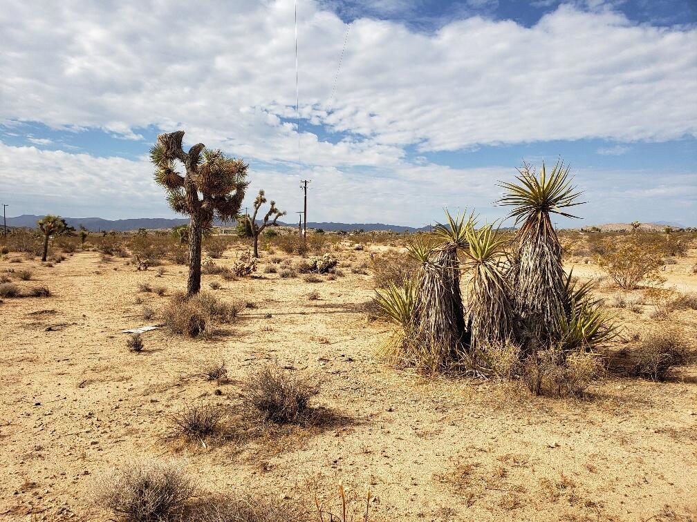 MLS #219125406DA image #9