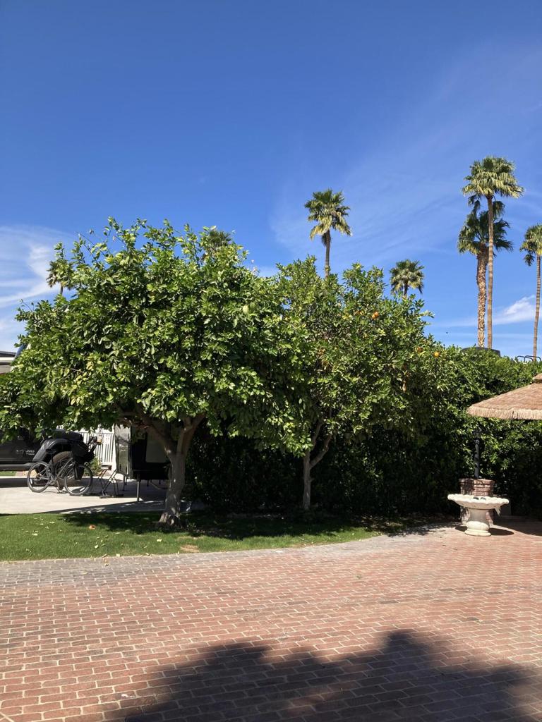 MLS #219125534DA image #2