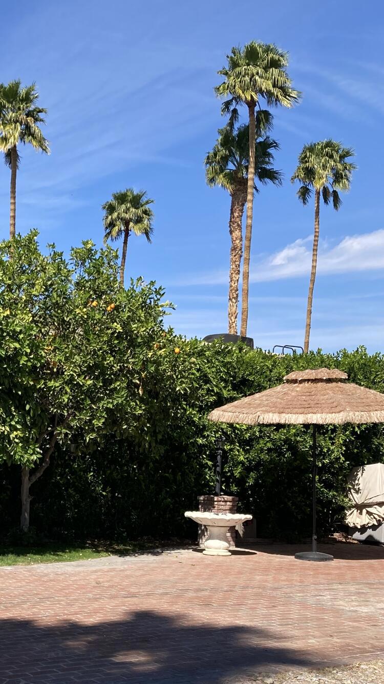 MLS #219125534DA image #3