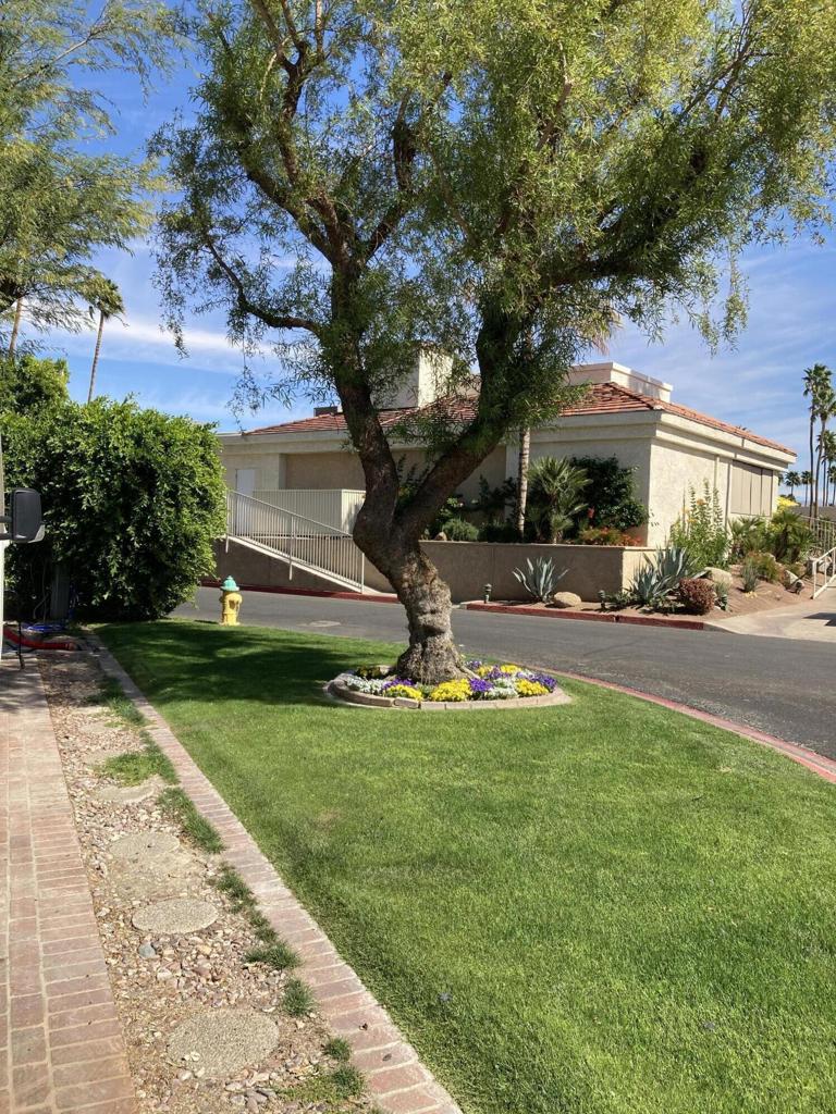 MLS #219125534DA image #4