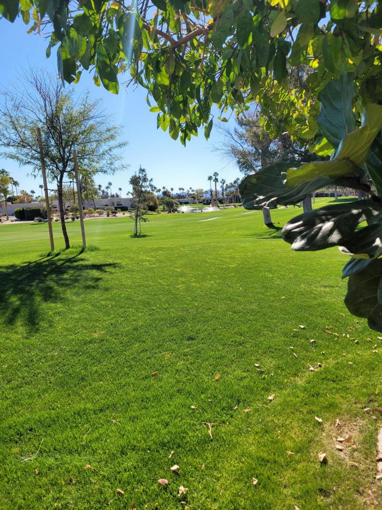 MLS #219125580DA image #27