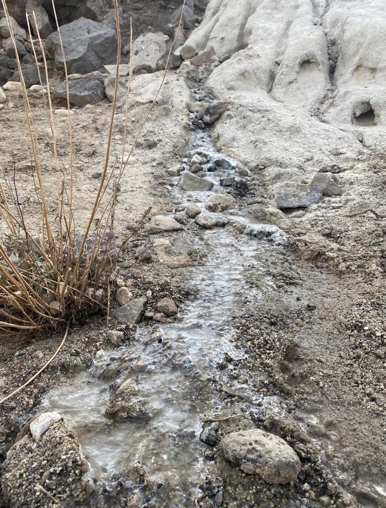 MLS #219125707DA image #1