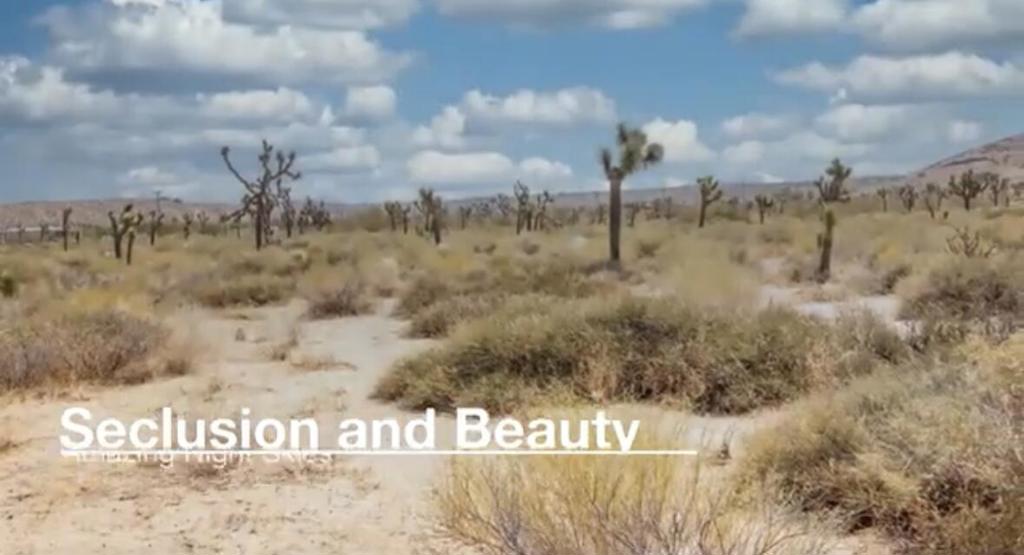 MLS #219125707DA image #11