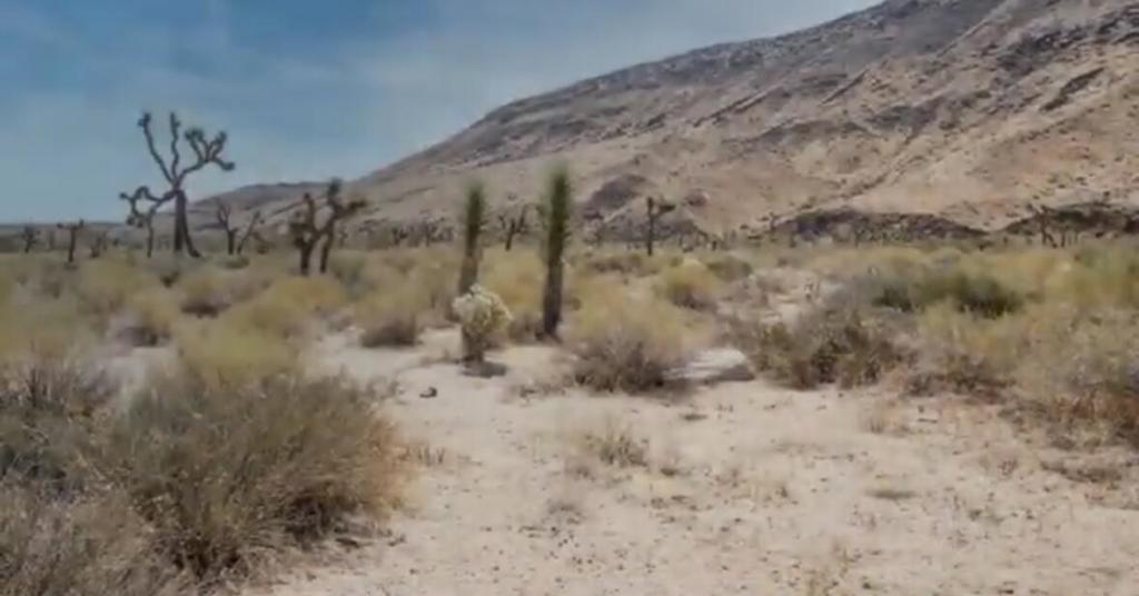 MLS #219125707DA image #15