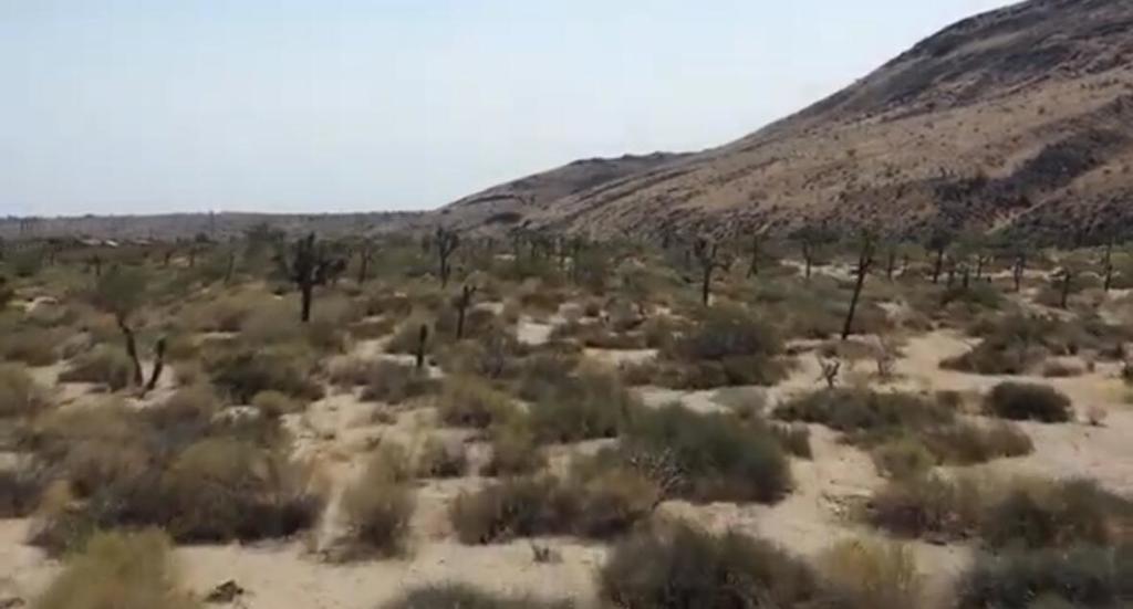 MLS #219125707DA image #24