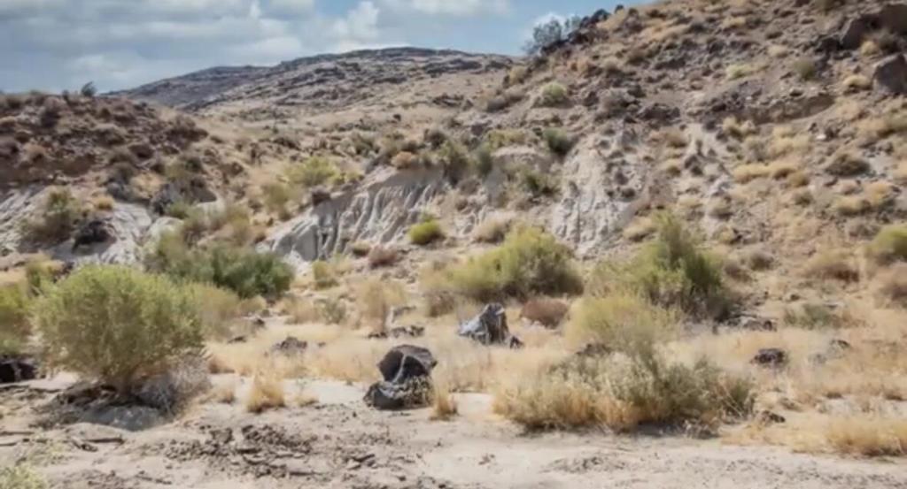 MLS #219125707DA image #28