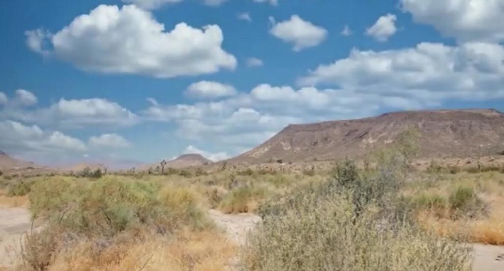 MLS #219125707DA image #29